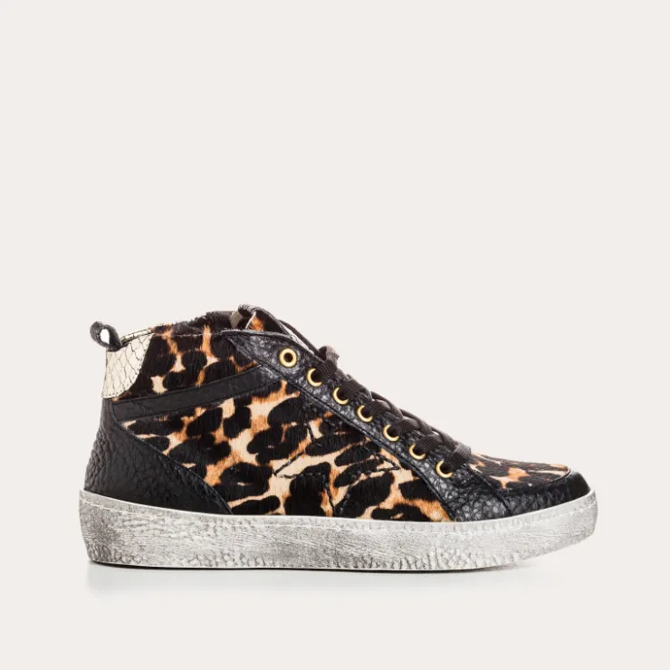 Toute La Collection | Baskets | Reqins BASKETS BREAK LEOPARD NOIR