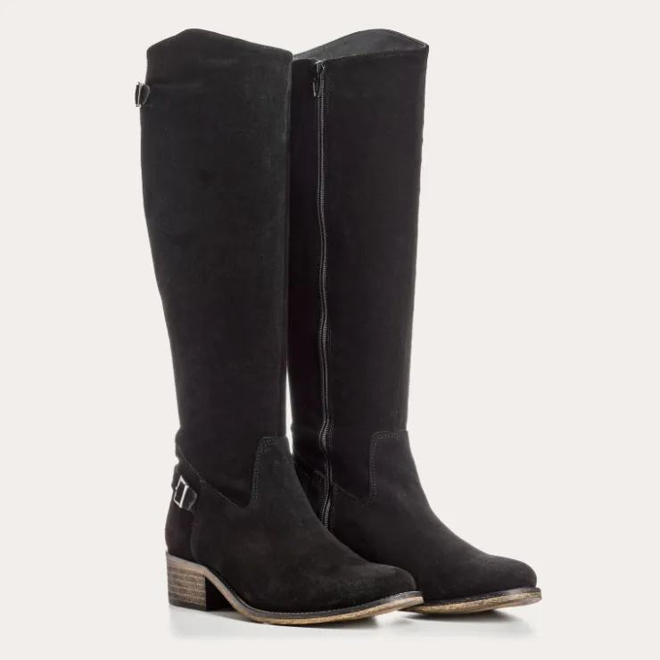 Toute La Collection | Bottes | Reqins BOTTES DIVINO CUIR VELOURS NOIR